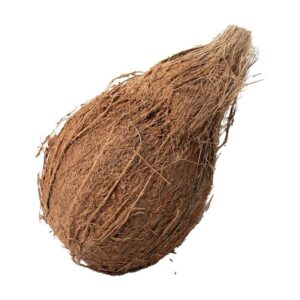 Coconut